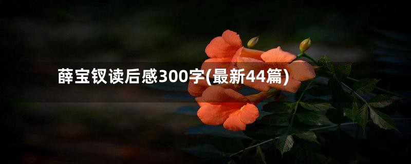 薛宝钗读后感300字(最新44篇)