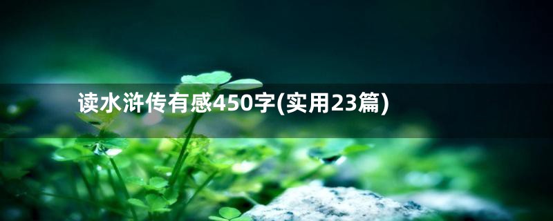 读水浒传有感450字(实用23篇)