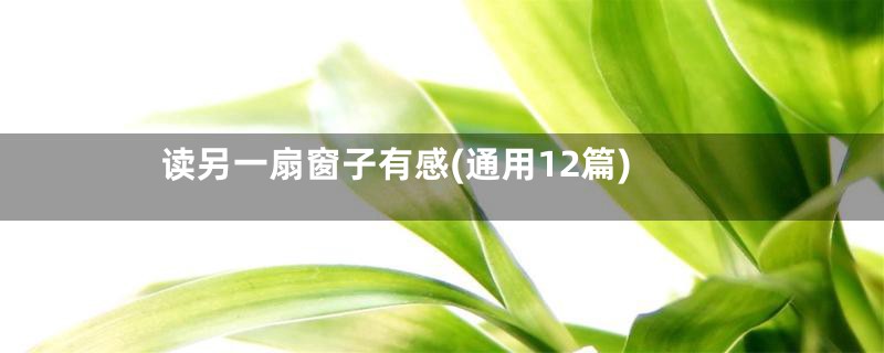 读另一扇窗子有感(通用12篇)